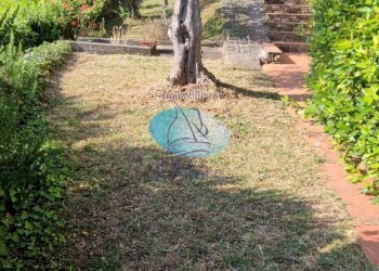 Foto 63 - Villa VIA DELLO ZILLORO, Massarosa - foto 63