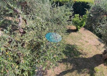 Foto 67 - Villa VIA DELLO ZILLORO, Massarosa - foto 67