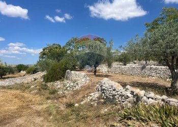 Giardino - Rustico Via san Giacomo
 
snc, Ragusa - foto 14
