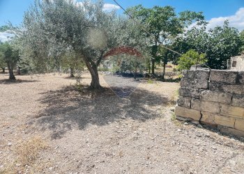 Giardino - Rustico Via san Giacomo
 
snc, Ragusa - foto 28