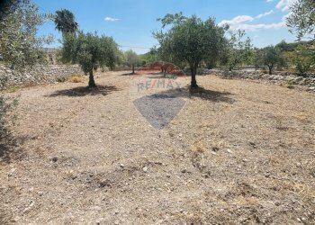 Giardino - Rustico Via san Giacomo
 
snc, Ragusa - foto 31