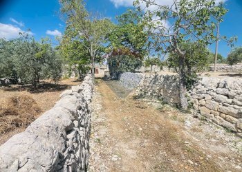 Giardino - Rustico Via san Giacomo
 
snc, Ragusa - foto 32