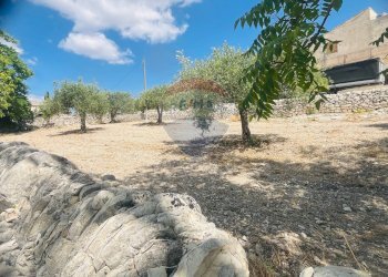 Giardino - Rustico Via san Giacomo
 
snc, Ragusa - foto 33