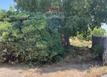 Giardino - Rustico contrada palazzella, Modica - foto 4