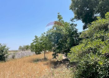 Giardino - Rustico contrada palazzella, Modica - foto 15