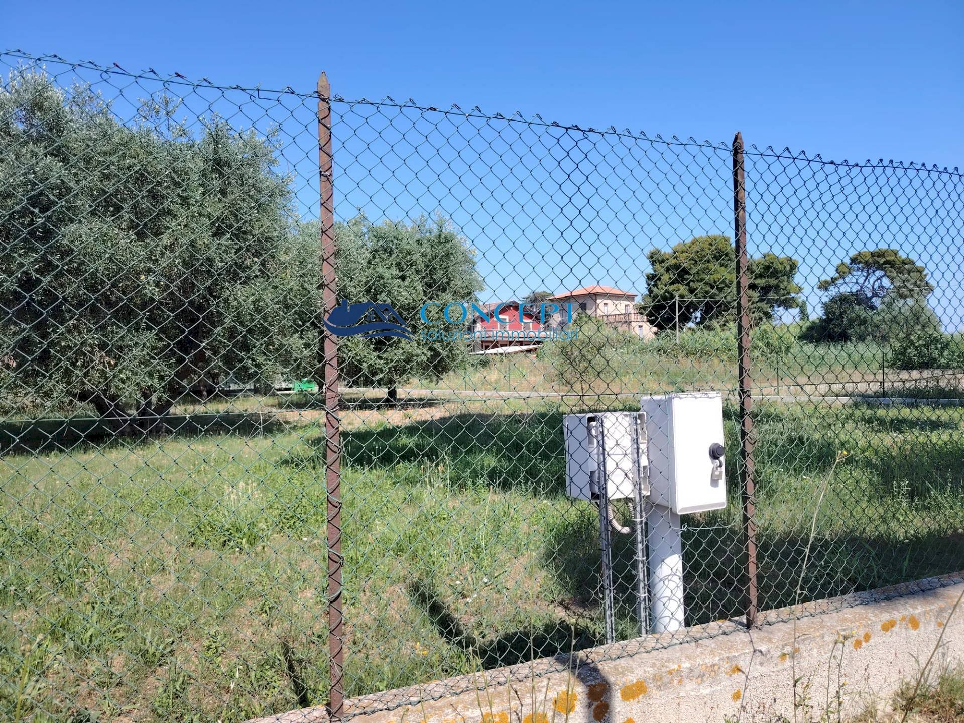 Foto 2 - Terreno agricolo via delle messi
 
snc, Martinsicuro - foto 2