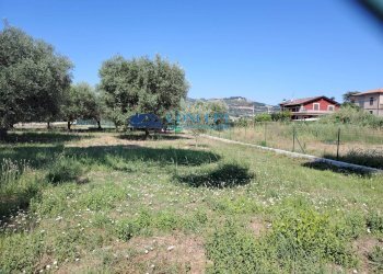 Foto 1 - Terreno agricolo via delle messi
 
snc, Martinsicuro - foto 1