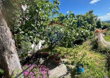 Giardino - Casa indipendente via Vicoletto santa Margherita
 
1, Castelmauro - foto 6