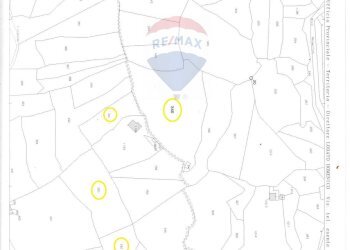 Pianta 2D - Terreno edificabile Contrada Margiazzi, Castelbuono - foto 3