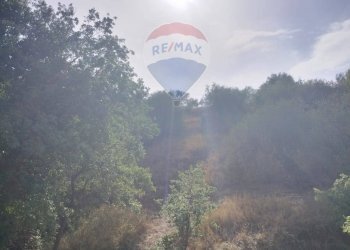 Vista delle montagne - Terreno edificabile Contrada Margiazzi, Castelbuono - foto 7