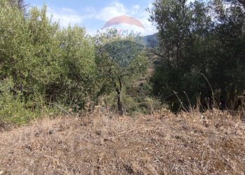 Vista delle montagne - Terreno edificabile Contrada Margiazzi, Castelbuono - foto 8