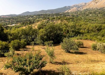 Foto 4 - Appartamento c.da Panarello
 
snc, Castelbuono - foto 4