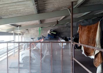 Foto 25 - Quadrilocale Borgata Rocco
 
1, Rubiana - foto 25