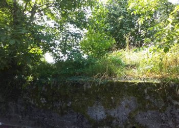 Terreno - Rustic via Dante Alighieri, Biandronno - photo 8