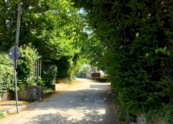 Giardino - Rustic via Dante Alighieri, Biandronno - photo 9