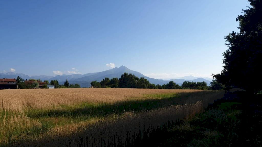 Terreno - Agricultural land via Vecchia di Pianfei, Beinette - photo 2