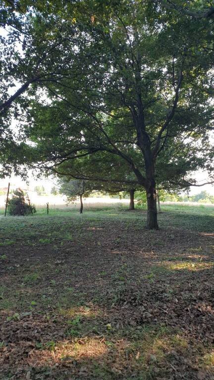 Terreno - Agricultural land via Vecchia di Pianfei, Beinette - photo 3
