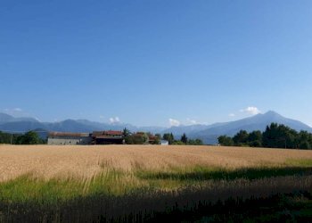 Terreno - Agricultural land via Vecchia di Pianfei, Beinette - photo 1