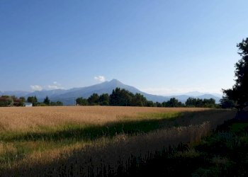 Terreno - Agricultural land via Vecchia di Pianfei, Beinette - photo 2