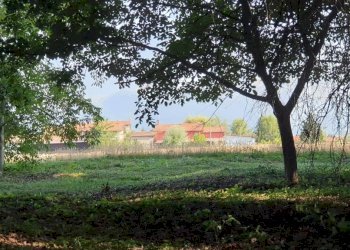 Terreno - Agricultural land via Vecchia di Pianfei, Beinette - photo 4