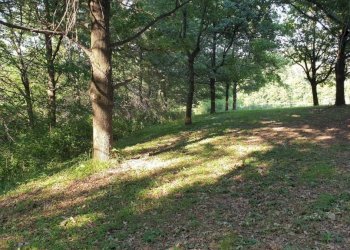 Terreno - Agricultural land via Vecchia di Pianfei, Beinette - photo 5