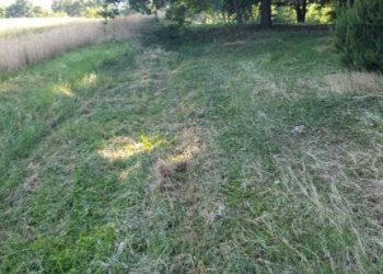 Terreno - Agricultural land via Vecchia di Pianfei, Beinette - photo 8