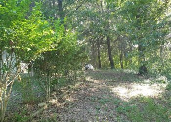 Terreno - Agricultural land via Vecchia di Pianfei, Beinette - photo 9