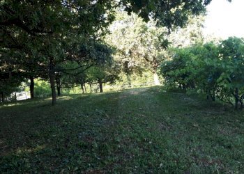 Terreno - Agricultural land via Vecchia di Pianfei, Beinette - photo 11