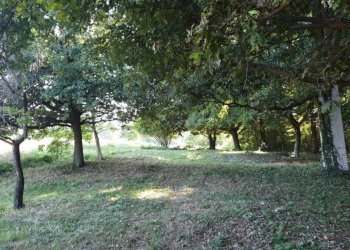 Terreno - Agricultural land via Vecchia di Pianfei, Beinette - photo 12