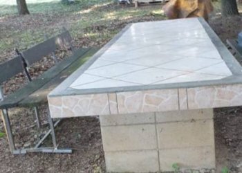 Giardino - Agricultural land via Vecchia di Pianfei, Beinette - photo 14