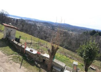 Terreno - Rustico via Cascinale Ronco, 2, Cocquio-Trevisago - foto 10