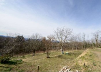 Terreno - Rustico via Cascinale Ronco, 2, Cocquio-Trevisago - foto 11