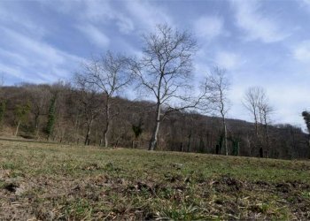 Terreno - Rustico via Cascinale Ronco, 2, Cocquio-Trevisago - foto 15