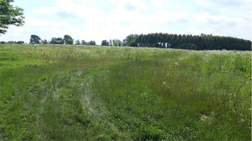 Terreno - Agricultural land Sesto al Reghena - photo 2