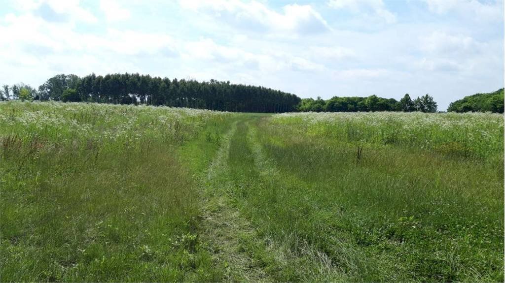 Terreno - Agricultural land Sesto al Reghena - photo 3