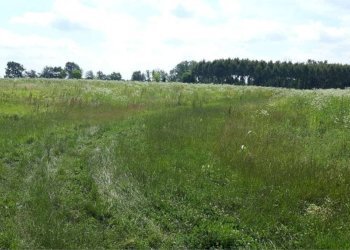 Terreno - Agricultural land Sesto al Reghena - photo 2