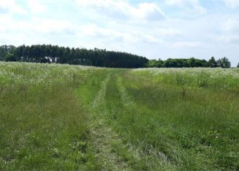Terreno - Agricultural land Sesto al Reghena - photo 3