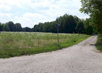 Zona - Agricultural land Sesto al Reghena - photo 6