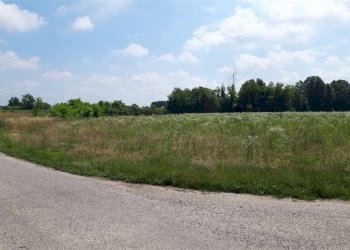 Zona - Agricultural land Sesto al Reghena - photo 7