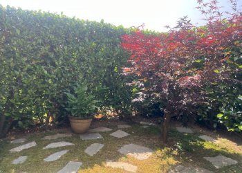 Giardino - Villa a Schiera via Giuseppe Verdi, Ponderano - foto 38