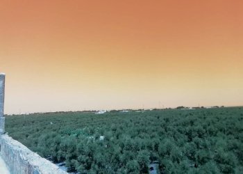 Rustic Via Corato, Andria - photo 2