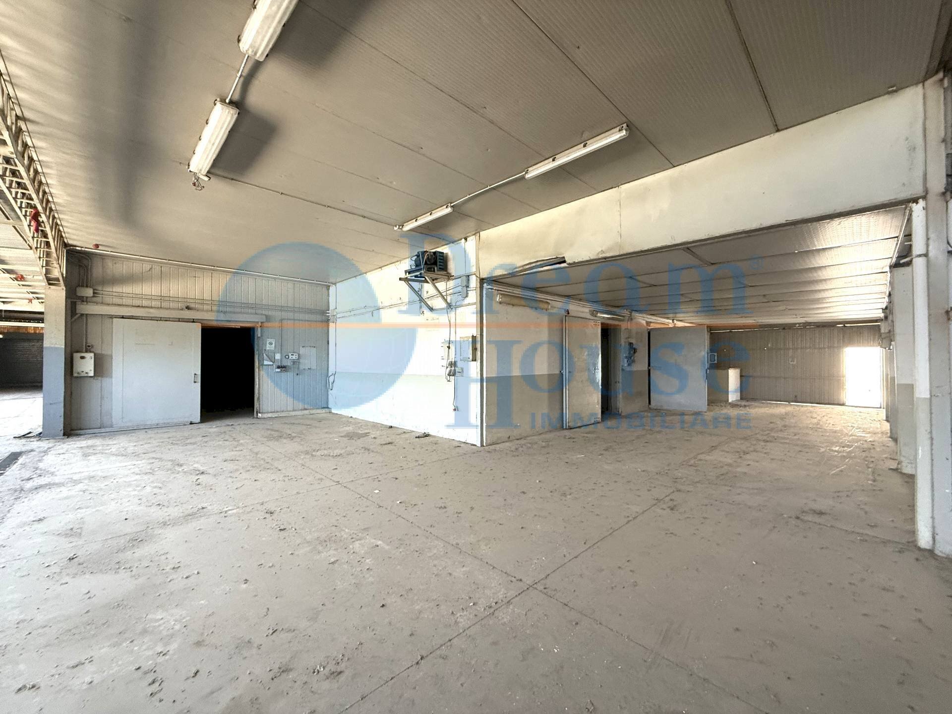 Foto 3 - Capannone Via Molino San Antimo, Roseto degli Abruzzi - foto 3