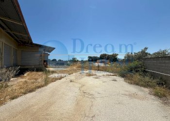 Foto 15 - Capannone Via Molino San Antimo, Roseto degli Abruzzi - foto 15