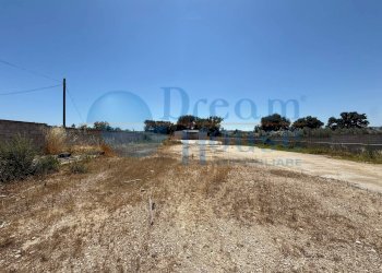 Foto 16 - Capannone Via Molino San Antimo, Roseto degli Abruzzi - foto 16