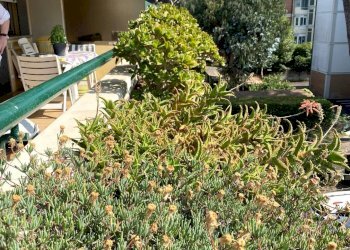 Foto 8 - Attico via san giovanni bosco
 
195, Viareggio - foto 8