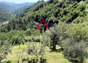 Foto 62 - Rustic sn, Coreglia Antelminelli - photo 62