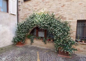 Foto 17 - Casa indipendente piazza Cortile
 
7, Monte Urano - foto 17