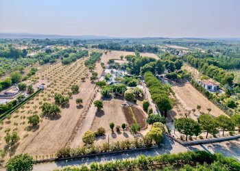 Foto 46 - Villa Contrada Montevitolo, Andria - photo 46