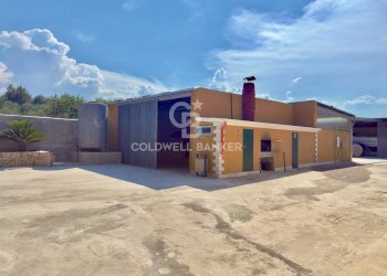 Foto 8 - Villa Contrada Montevitolo, Andria - photo 8