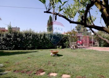 Giardino - Villa Strada vicinale Bavotta
 
10, Bitonto - foto 2